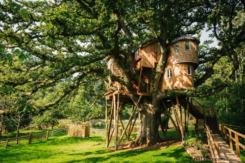 Reviva los sueños de su infancia en estos hoteles Treehouse 